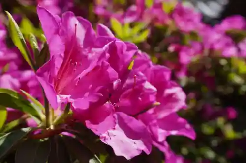 萬福寺(京都府)