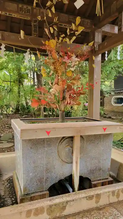 赤坂氷川神社(東京都)