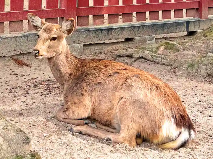三翁神社(広島県)