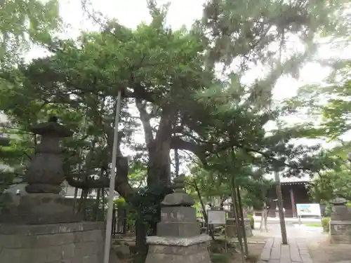 金蓮院(東京都)