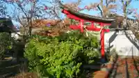 鏡日吉神社の鳥居