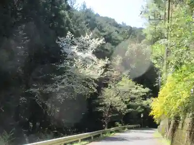 龍穏寺(埼玉県)