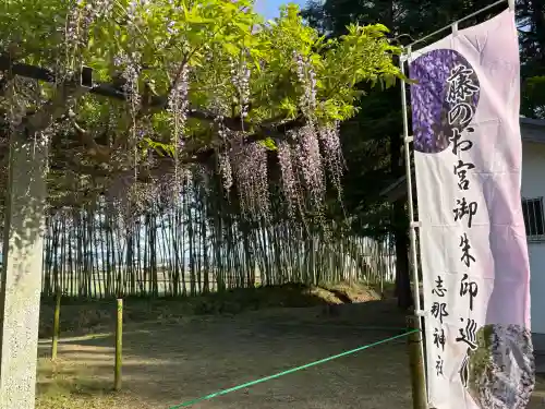 志那神社の{uncategorized: "未分類", other: "その他", undefined: "問題あり", building: "その他建物", grave: "お墓", sacred_gate: "鳥居", guardian: "狛犬", statue: "像", buddha: "仏像", history: "歴史", nature: "自然", garden: "庭園", animal: "動物", pagoda: "塔", temizu: "手水舎", mountain_gate: "山門・神門", sanctuary: "本殿・本堂", subordinate: "末社・摂社", art: "芸術", scenery: "景色", jizo: "地蔵", ema: "絵馬", goshuin: "御朱印", omikuji: "おみくじ", items: "授与品その他", amulet: "お守り", goshuincho: "御朱印帳", eats: "食事", festival: "お祭り", votive_dance: "神楽", shichigosan: "七五三参", wedding: "結婚式", experience: "体験その他", initially: "初詣", around: "周辺", anti_infection: "感染症対策"}