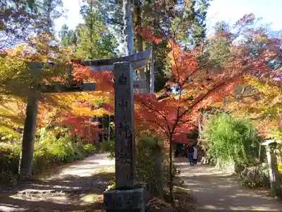 国宝 長寿寺(滋賀県)