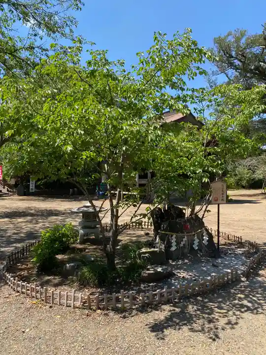 鎌数伊勢大神宮(千葉県)