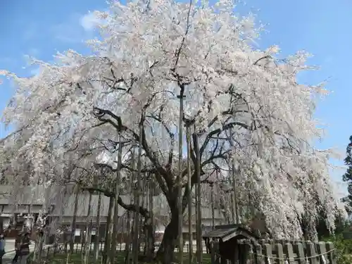 足羽神社(福井県)
