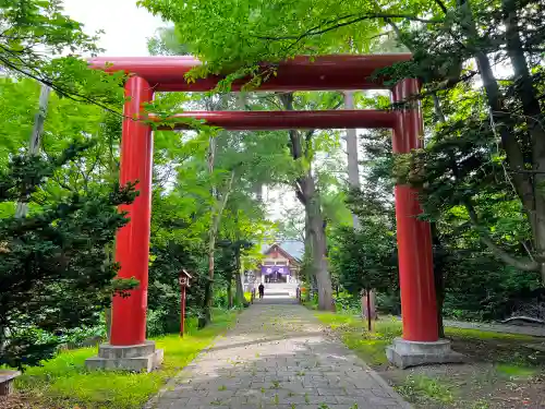 永山神社の鳥居