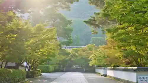 禅林寺（永観堂）の自然