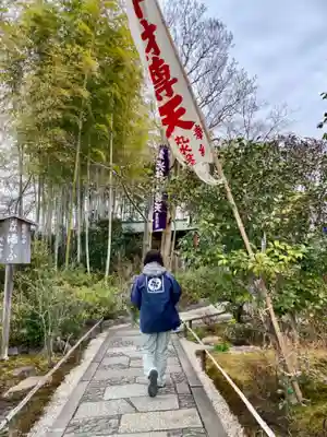 妙智院(京都府)