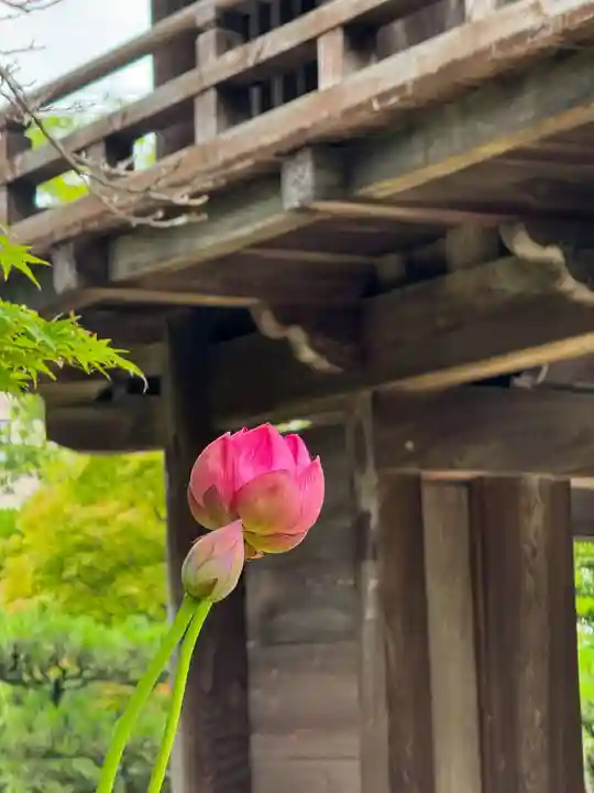 伊勢の国 四天王寺(三重県)