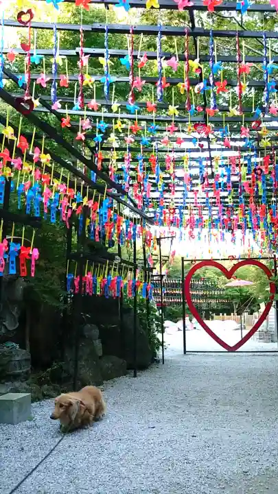 三井寺(平等寺)の{uncategorized: "未分類", other: "その他", undefined: "問題あり", building: "その他建物", grave: "お墓", sacred_gate: "鳥居", guardian: "狛犬", statue: "像", buddha: "仏像", history: "歴史", nature: "自然", garden: "庭園", animal: "動物", pagoda: "塔", temizu: "手水舎", mountain_gate: "山門・神門", sanctuary: "本殿・本堂", subordinate: "末社・摂社", art: "芸術", scenery: "景色", jizo: "地蔵", ema: "絵馬", goshuin: "御朱印", omikuji: "おみくじ", items: "授与品その他", amulet: "お守り", goshuincho: "御朱印帳", eats: "食事", festival: "お祭り", votive_dance: "神楽", shichigosan: "七五三参", wedding: "結婚式", experience: "体験その他", initially: "初詣", around: "周辺", anti_infection: "感染症対策"}