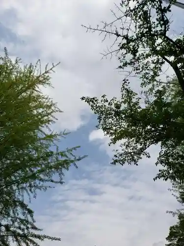 渋谷氷川神社(東京都)