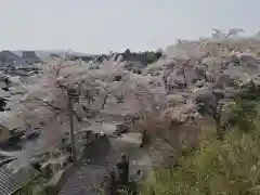 千手院の景色