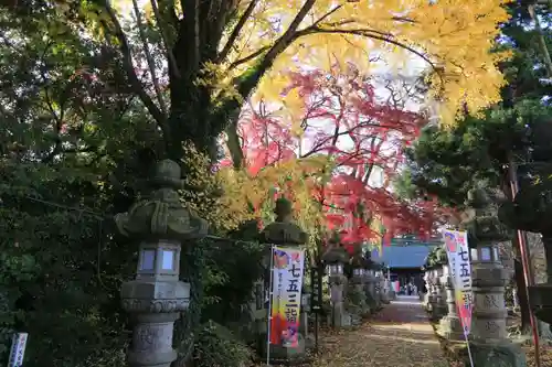 神炊館神社 ⁂奥州須賀川総鎮守⁂の景色