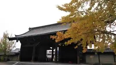 東寺(教王護国寺)の山門・神門