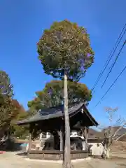 六條八幡宮(兵庫県)