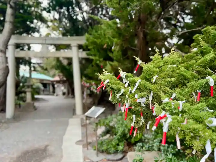 大瀬神社(静岡県)
