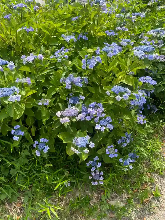 豊景神社(福島県)