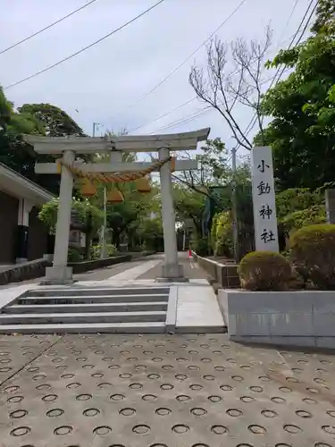 小動神社の鳥居