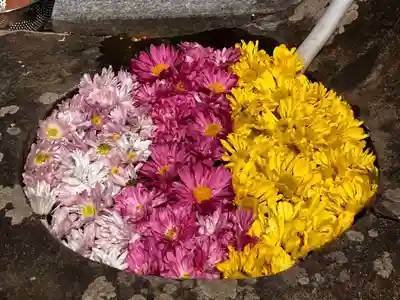 真言宗　善通寺派　薬王寺(香川県)