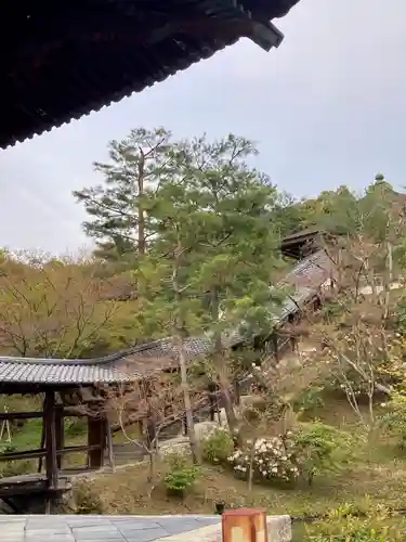 高台寺（高台寿聖禅寺・高臺寺）(京都府)