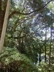 諏訪神社(神奈川県)