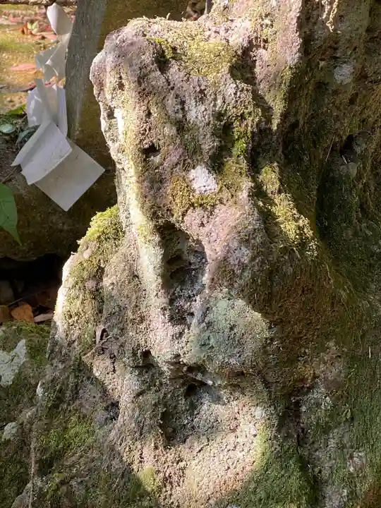 犬丸天満宮の自然