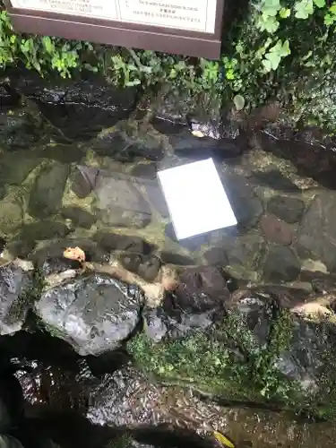 貴船神社のおみくじ