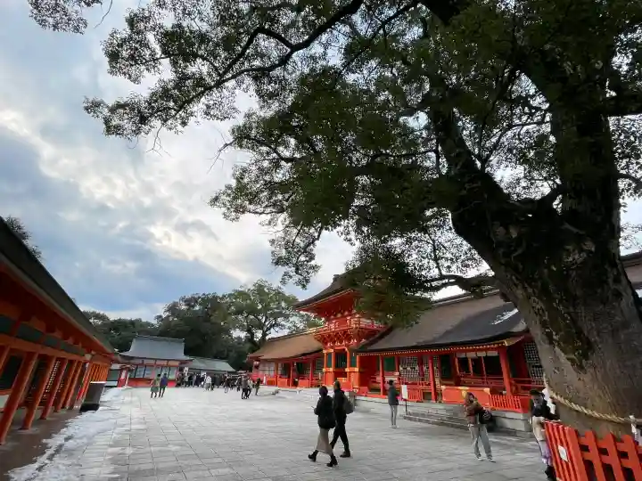 宇佐神宮の{uncategorized: "未分類", other: "その他", undefined: "問題あり", building: "その他建物", grave: "お墓", sacred_gate: "鳥居", guardian: "狛犬", statue: "像", buddha: "仏像", history: "歴史", nature: "自然", garden: "庭園", animal: "動物", pagoda: "塔", temizu: "手水舎", mountain_gate: "山門・神門", sanctuary: "本殿・本堂", subordinate: "末社・摂社", art: "芸術", scenery: "景色", jizo: "地蔵", ema: "絵馬", goshuin: "御朱印", omikuji: "おみくじ", items: "授与品その他", amulet: "お守り", goshuincho: "御朱印帳", eats: "食事", festival: "お祭り", votive_dance: "神楽", shichigosan: "七五三参", wedding: "結婚式", experience: "体験その他", initially: "初詣", around: "周辺", anti_infection: "感染症対策"}