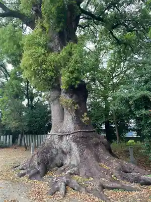 高良神社(香川県)