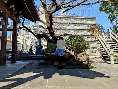 正法寺の手水舎