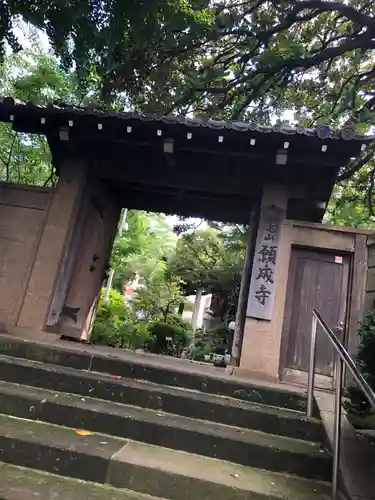 願成寺の山門