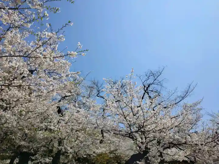 靖國神社の{uncategorized: "未分類", other: "その他", undefined: "問題あり", building: "その他建物", grave: "お墓", sacred_gate: "鳥居", guardian: "狛犬", statue: "像", buddha: "仏像", history: "歴史", nature: "自然", garden: "庭園", animal: "動物", pagoda: "塔", temizu: "手水舎", mountain_gate: "山門・神門", sanctuary: "本殿・本堂", subordinate: "末社・摂社", art: "芸術", scenery: "景色", jizo: "地蔵", ema: "絵馬", goshuin: "御朱印", omikuji: "おみくじ", items: "授与品その他", amulet: "お守り", goshuincho: "御朱印帳", eats: "食事", festival: "お祭り", votive_dance: "神楽", shichigosan: "七五三参", wedding: "結婚式", experience: "体験その他", initially: "初詣", around: "周辺", anti_infection: "感染症対策"}