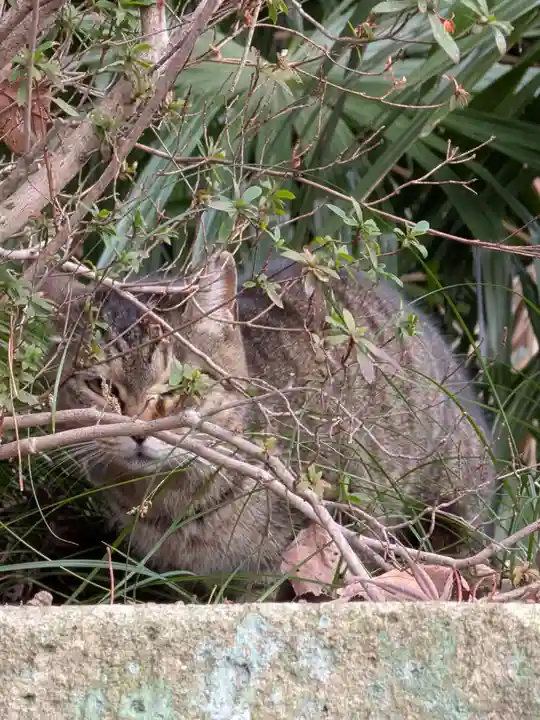 西照寺(東京都)