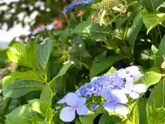 天照皇大神宮(長野県)