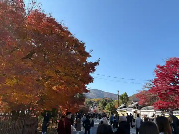 天龍寺(京都府)