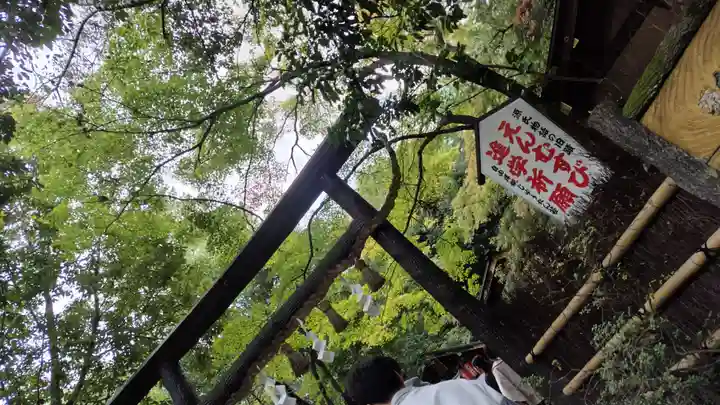 野宮神社(京都府)