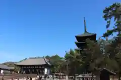 興福寺の景色