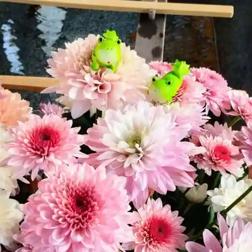 彌彦神社　(伊夜日子神社)の手水舎