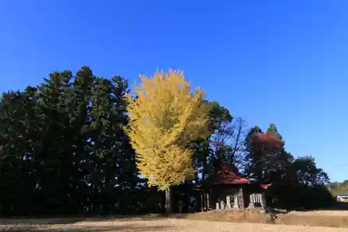 山神社の景色