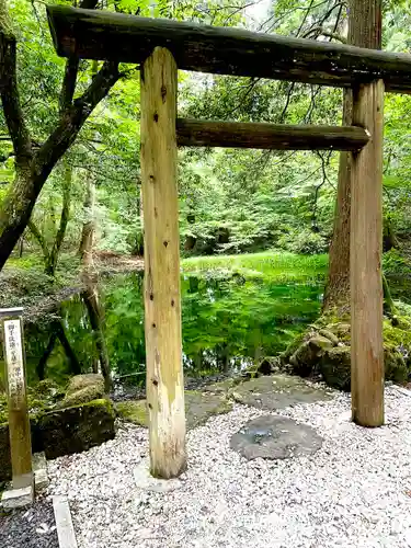 平泉寺白山神社(福井県)