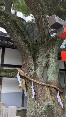 楠永神社(大阪府)