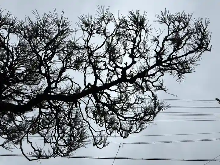 西方山極楽寺(岐阜県)