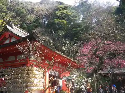 荏柄天神社の本殿・本堂