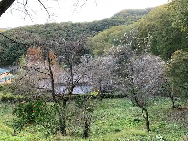 成身院 百体観音堂(さざえ堂)(埼玉県)