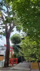 猿田彦神社の建物その他