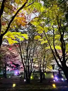 土津神社|こどもと出世の神さまの自然
