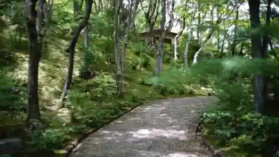 常寂光寺(京都府)