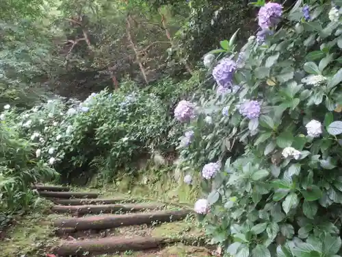 安國論寺（安国論寺）の景色