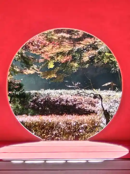 明月院(神奈川県)